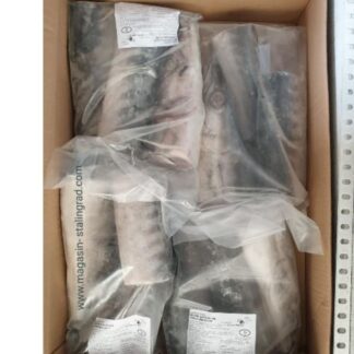 Barracuda coupé 800g