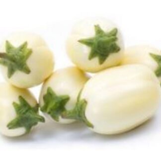 Aubergines blanc