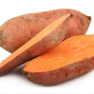 Patates douce Égypte