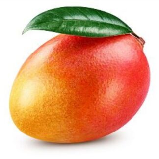 Mangue Kent 1kg